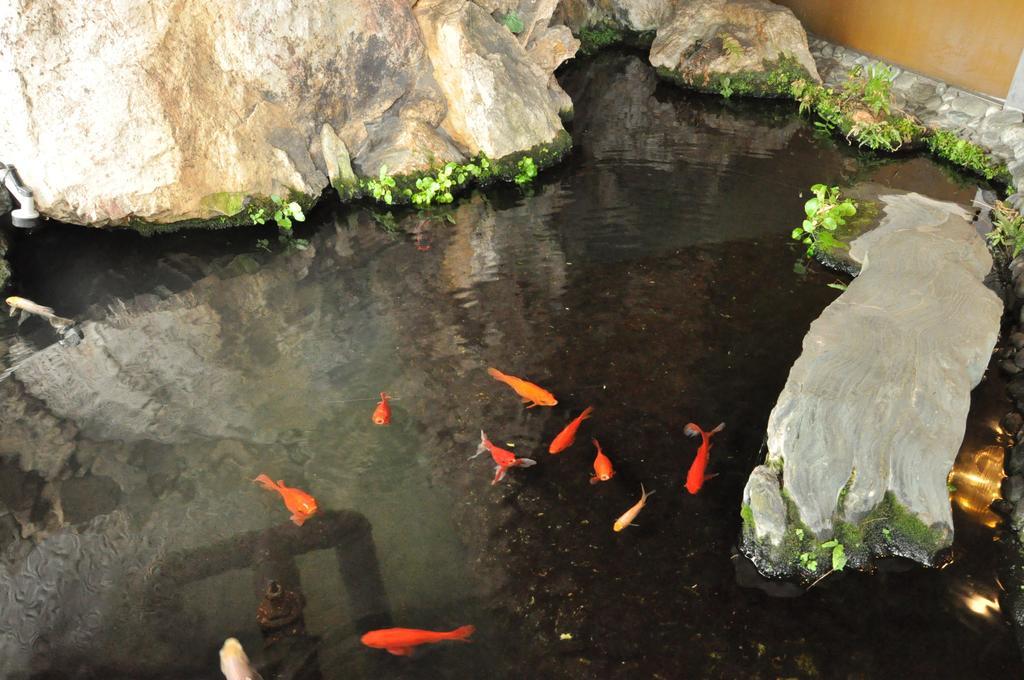 Ryokan Kichiman Kōchi Zewnętrze zdjęcie